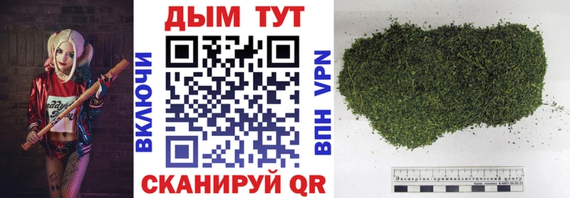 сколько стоит  Западная Двина  МАРИХУАНА VHQ 
